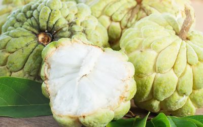 Custard Apple