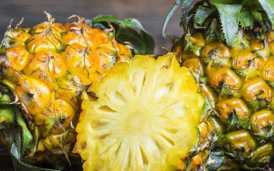 Pineapple (Ananas comosus)