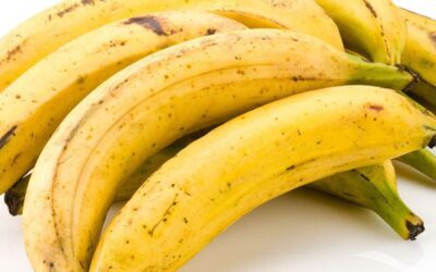 Plantain